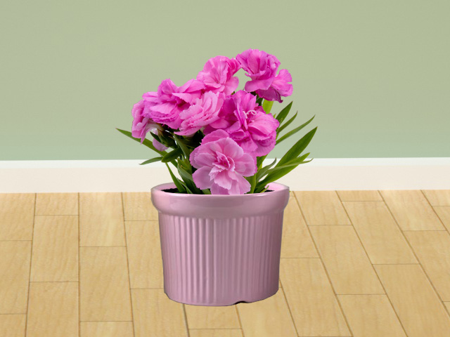 鮮花怎么樣與花瓶搭配